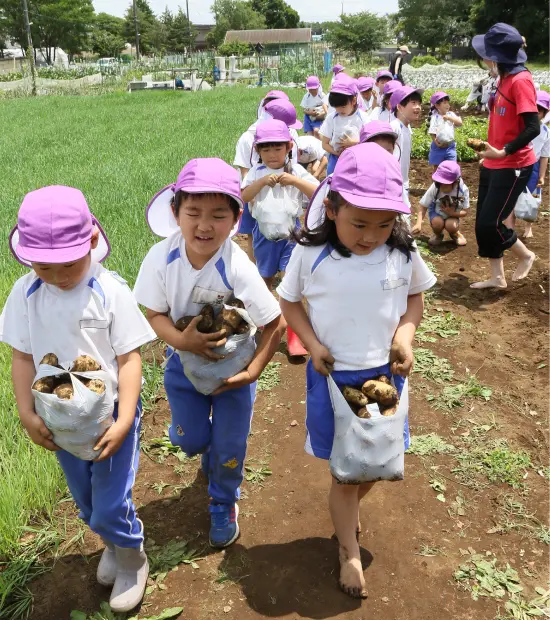 掘ったじゃがいもを袋に詰めて運ぶ園児たち